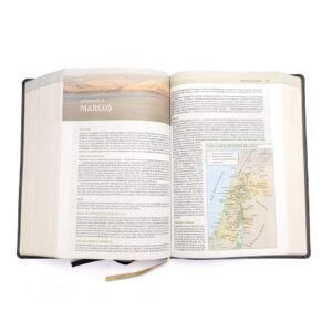 Bíblia de estudo Thomas Nelson, NVI, Couro-soft vinho, Leitura Perfeita | Bíblia com mais de 50 mil recursos - Imagem 5
