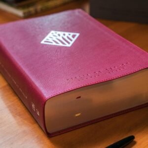 Bíblia de estudo Thomas Nelson, NVI, Couro-soft vinho, Leitura Perfeita | Bíblia com mais de 50 mil recursos - Imagem 3