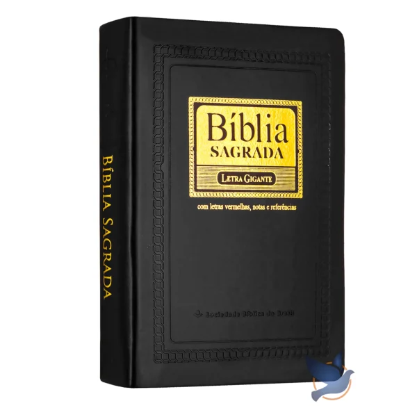 A9483bdec32034e2698bd691c34be75897.webp