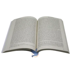 Box Teologia Sistemática Herman Bavinck 2 Volumes Brochura - Imagem 6