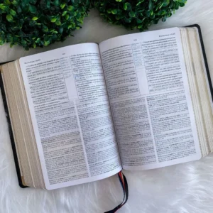 BIBLIA KING JAMES COM ESTUDO HOLMAN - Imagem 4