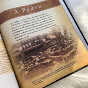 BIBLIA KING JAMES COM ESTUDO HOLMAN - Imagem 5