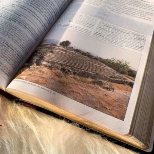 BIBLIA KING JAMES COM ESTUDO HOLMAN - Imagem 6