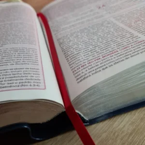 Bíblia de Estudo Pentecostal | Edição Global | ARC | Letra Grande - Imagem 4