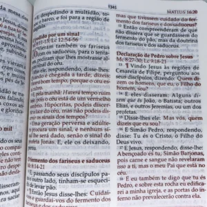 Bíblia de Estudo Mulher Guiada King James Capa Romã - Imagem 5