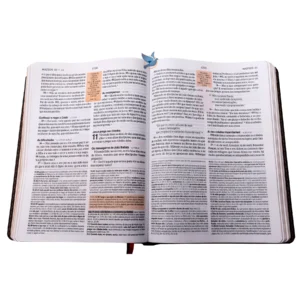 Biblia de Estudo Almeida NAA Nova Almeida Atualizada Luxo Preta - Imagem 6