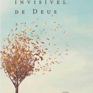 O Agir Invisível de Deus - Imagem 1